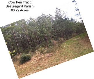 Cow Pen Tract, Beauregard Parish, 80.72 Acres