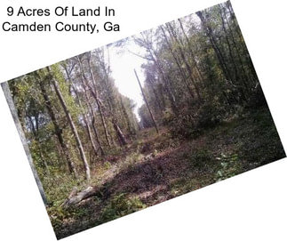 9 Acres Of Land In Camden County, Ga