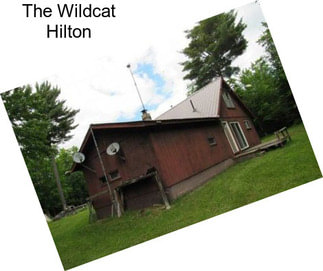 The Wildcat Hilton