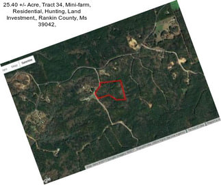 25.40 +/- Acre, Tract 34, Mini-farm, Residential, Hunting, Land Investment,, Rankin County, Ms 39042,