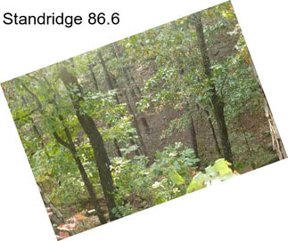 Standridge 86.6