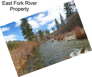 East Fork River Property