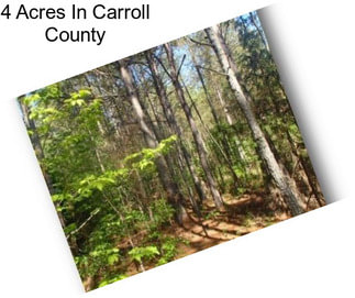 4 Acres In Carroll County