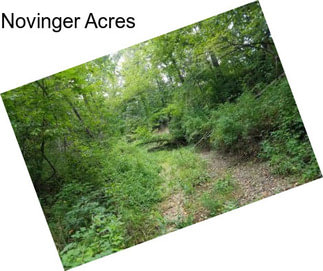 Novinger Acres