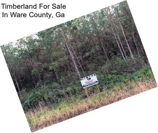 Timberland For Sale In Ware County, Ga