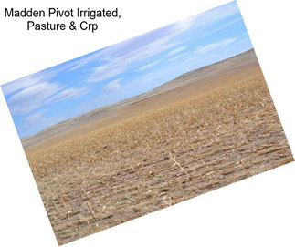 Madden Pivot Irrigated, Pasture & Crp