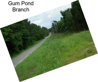 Gum Pond Branch