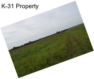 K-31 Property