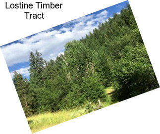 Lostine Timber Tract