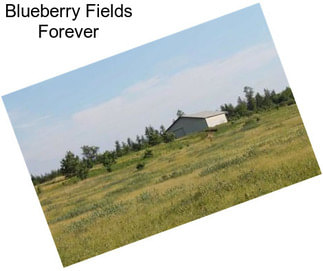 Blueberry Fields Forever