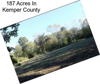 187 Acres In Kemper County