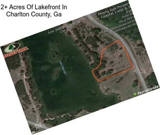 2+ Acres Of Lakefront In Charlton County, Ga