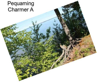 Pequaming Charmer A