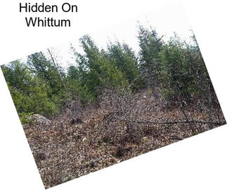 Hidden On Whittum