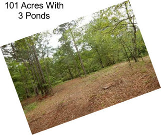 101 Acres With 3 Ponds