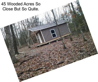 45 Wooded Acres So Close But So Quite.