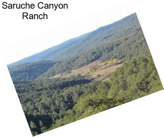 Saruche Canyon Ranch