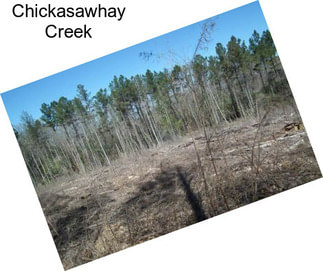 Chickasawhay Creek