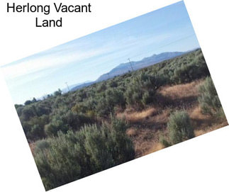 Herlong Vacant Land