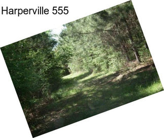 Harperville 555