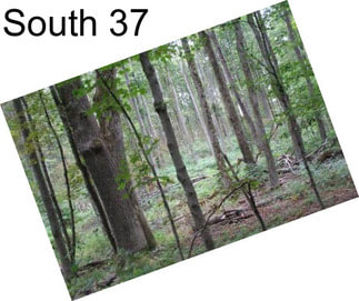 South 37