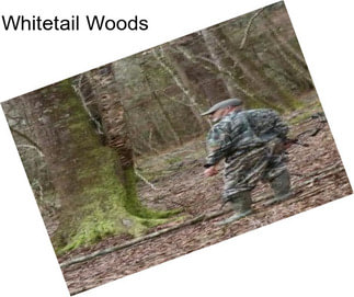 Whitetail Woods