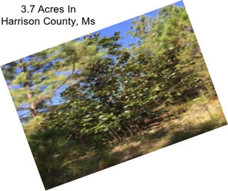 3.7 Acres In Harrison County, Ms