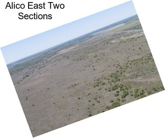 Alico East Two Sections