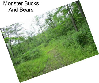 Monster Bucks And Bears