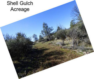 Shell Gulch Acreage