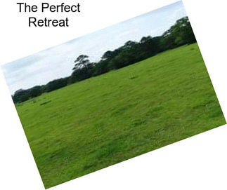 The Perfect Retreat