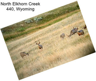 North Elkhorn Creek 440, Wyoming