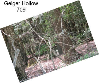 Geiger Hollow 709