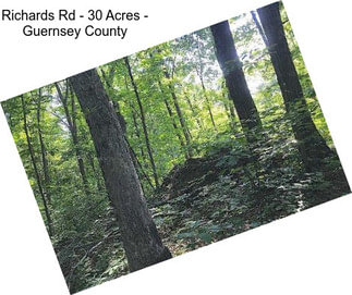 Richards Rd - 30 Acres - Guernsey County