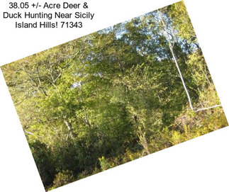 38.05 +/- Acre Deer & Duck Hunting Near Sicily Island Hills! 71343