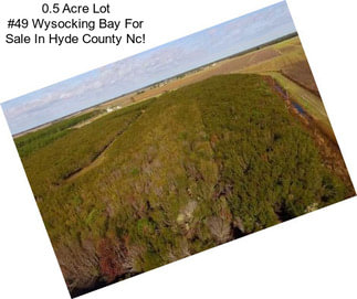 0.5 Acre Lot #49 Wysocking Bay For Sale In Hyde County Nc!