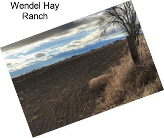 Wendel Hay Ranch