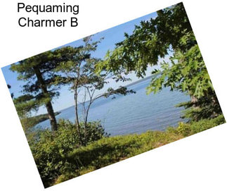 Pequaming Charmer B