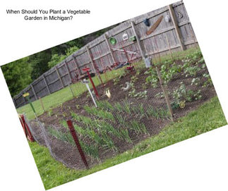 When Should You Plant a Vegetable Garden in Michigan?