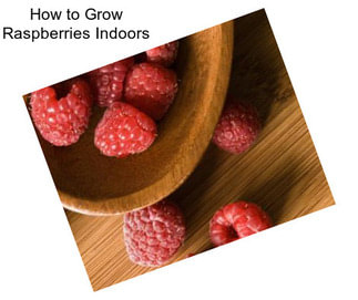 How to Grow Raspberries Indoors