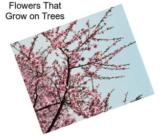 Flowers That Grow on Trees