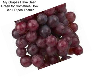 My Grapes Have Been Green for Sometime How Can I Ripen Them?