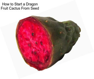 How to Start a Dragon Fruit Cactus From Seed