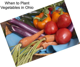 When to Plant Vegetables in Ohio