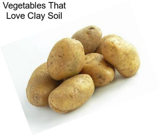 Vegetables That Love Clay Soil