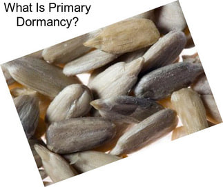 What Is Primary Dormancy?