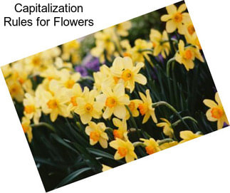 Capitalization Rules for Flowers