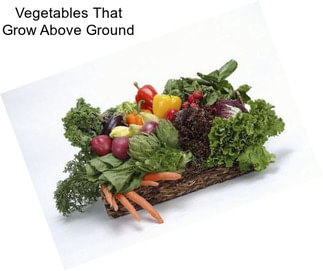 Vegetables That Grow Above Ground