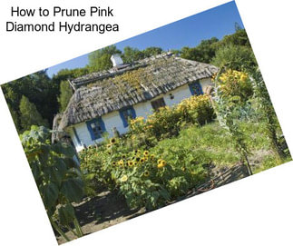 How to Prune Pink Diamond Hydrangea