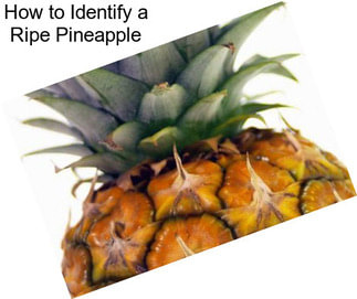 How to Identify a Ripe Pineapple